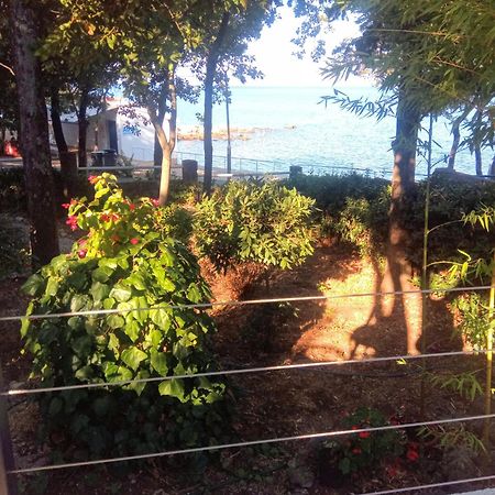 Apartmani "Ostro" Crikvenica Kraljevica Dış mekan fotoğraf