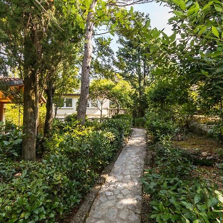 Apartmani "Ostro" Crikvenica Kraljevica Dış mekan fotoğraf